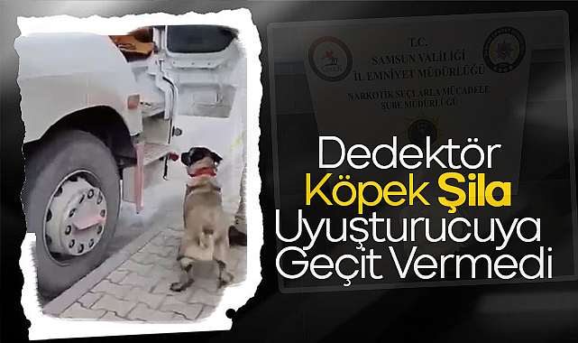 Dedektör Köpek Şila Uyuşturucuya Geçit Vermedi