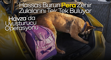 Hassas Burun Pera Zehir Zulalarını Tek Tek Buluyor: Havza’da Uyuşturucu Operasyonu