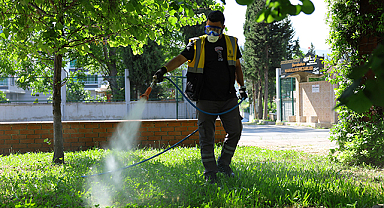 Yaz Sıcaklarıyla Birlikte Risk Arttı: Samsun'da Kene ve Haşerelere Karşı İlaçlama Seferberliği