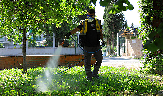 Yaz Sıcaklarıyla Birlikte Risk Arttı: Samsun'da Kene ve Haşerelere Karşı İlaçlama Seferberliği