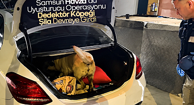 Samsun Havza'da Uyuşturucu Operasyonu: Dedektör Köpeği Şila Devreye Girdi