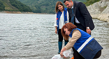 Hasan Uğurlu Baraj Gölü'ne 250 Bin Yavru Sazan Bırakıldı