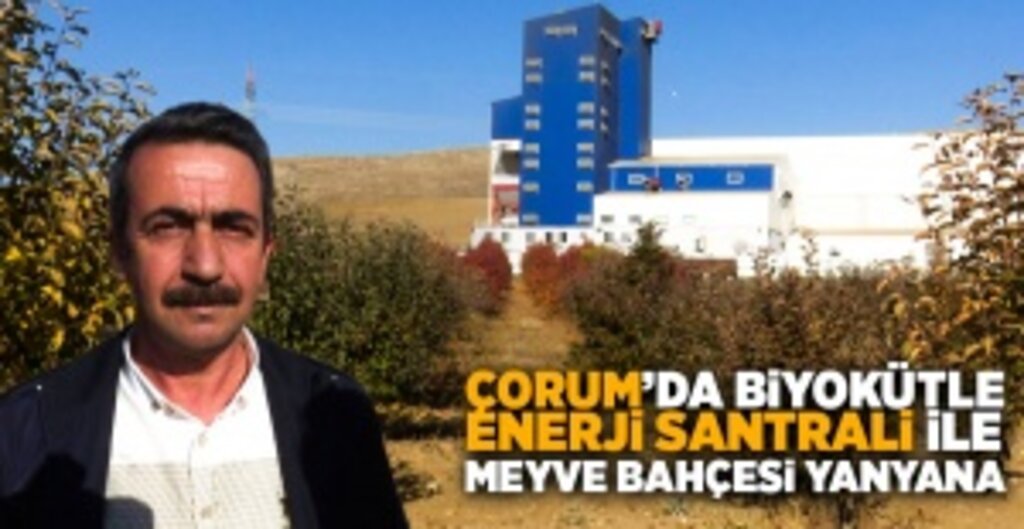 Mecitözü Ziraat Odası Başkanı Satılmış Köse: Santraldan Hiçbir Zarar Görmedik