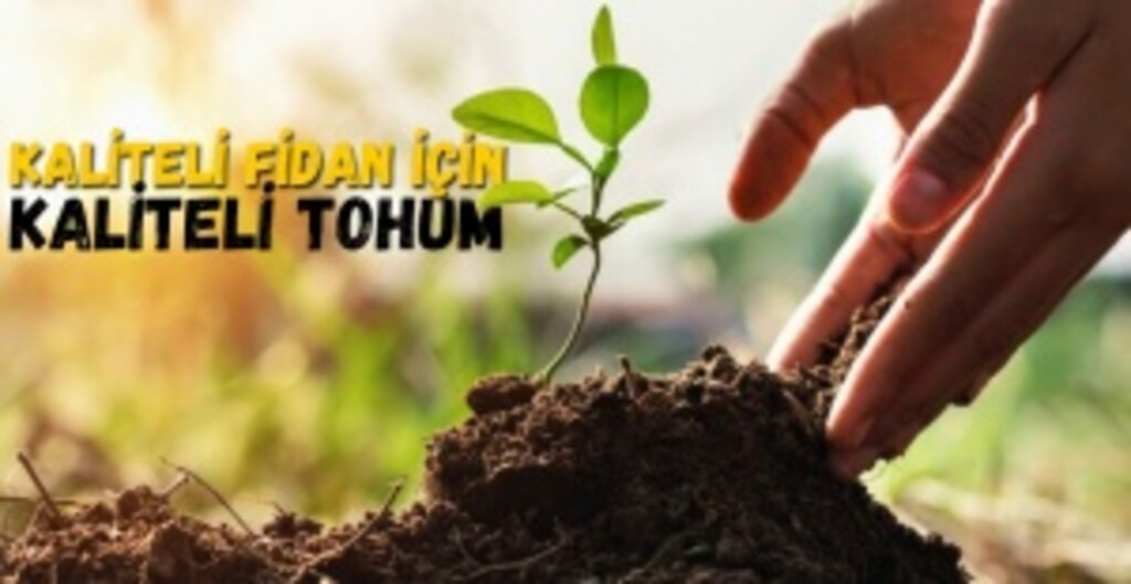 OGM'den Kaliteli Fidan, Kaliteli Orman Hamlesi: Tohum Üretimi Hız Kesmiyor