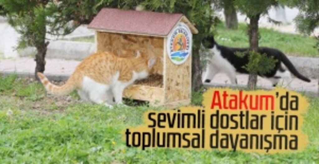 Atakum Belediyesi’nden Sokak Hayvanlarına Koronavirüs Desteği