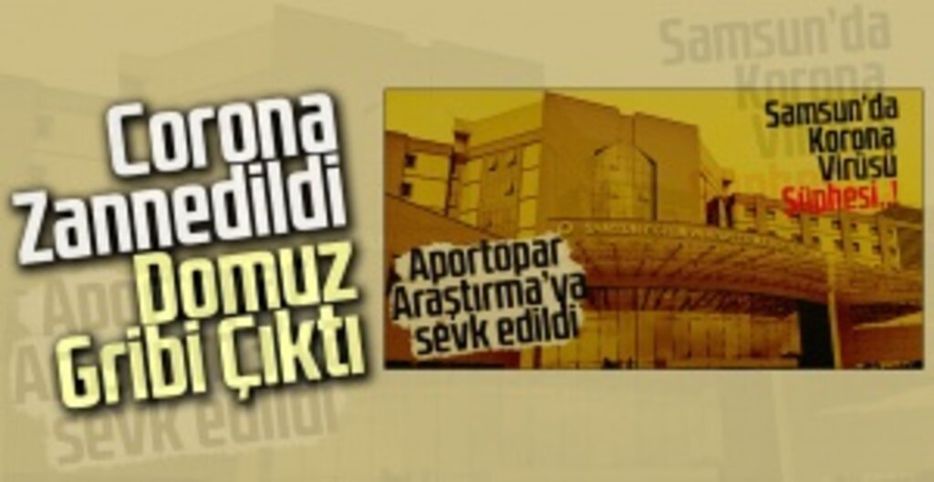 Gazi Devlet Hastanesi'ne Başvuran Kişide Domuz Gribi Tespit Edildi