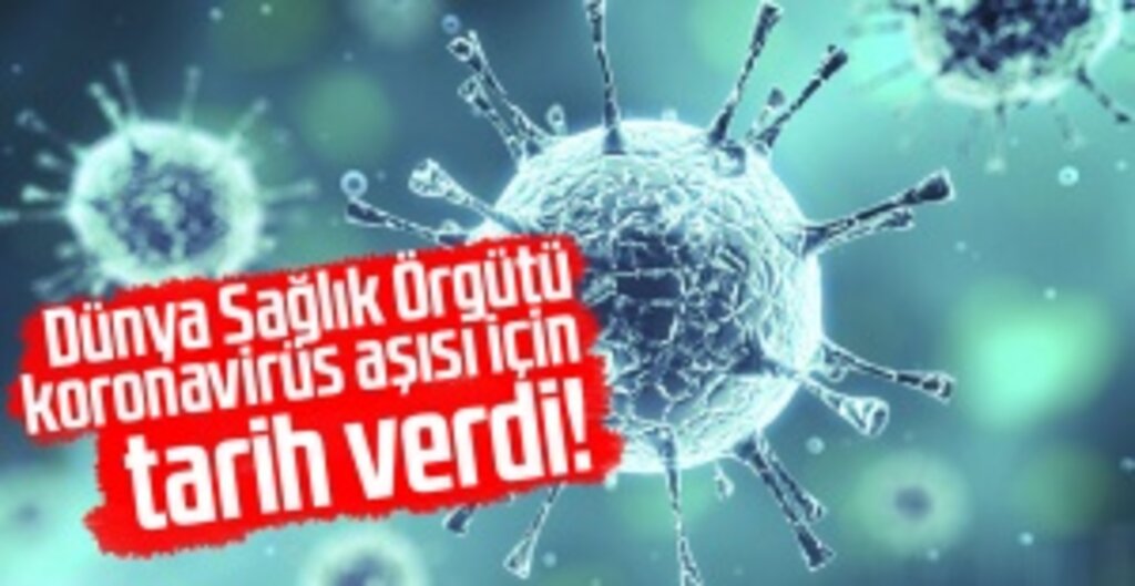 DSÖ: Koronavirüs Aşısı En Erken Yıl Sonunda Hazır Olabilir