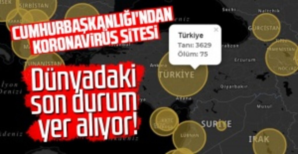 Dünyadaki son durum: Cumhurbaşkanlığı'ndan koronavirüs sitesi