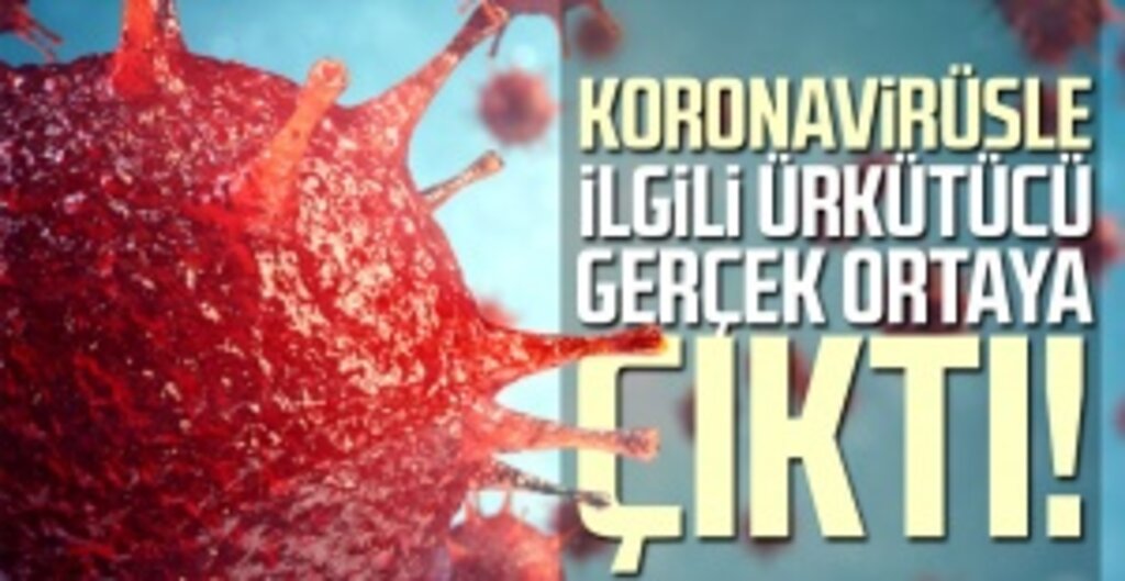CDC: Koronavirüs Yüzeylerde Beklenenden Çok Daha Uzun Süre Yaşayabiliyor
