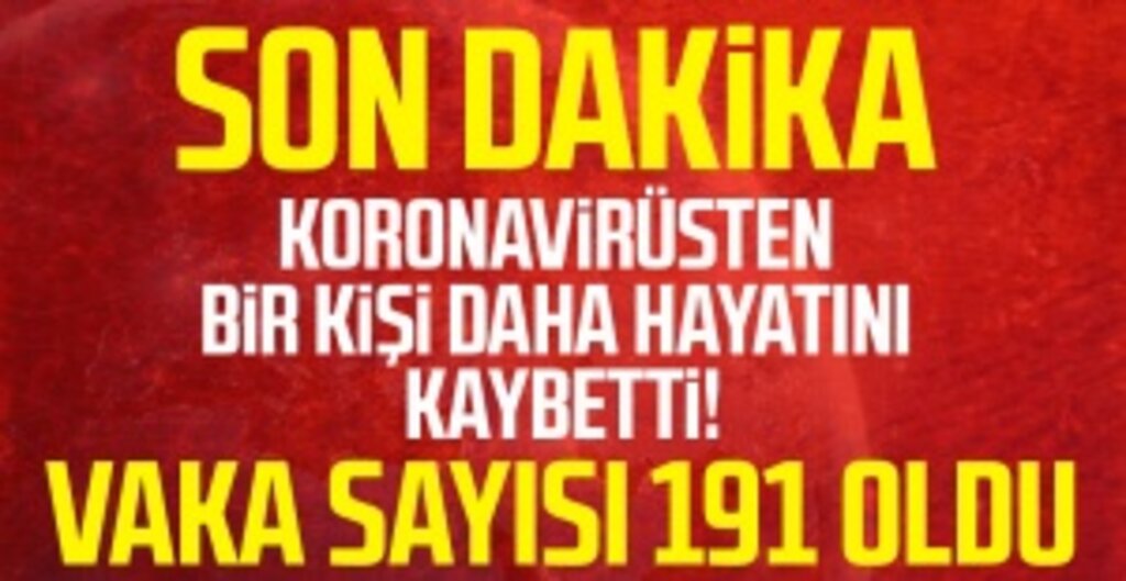 Türkiye'de Koronavirüs Nedeniyle İlk Can Kaybı: Hasta Sayısı 191'e Yükseldi