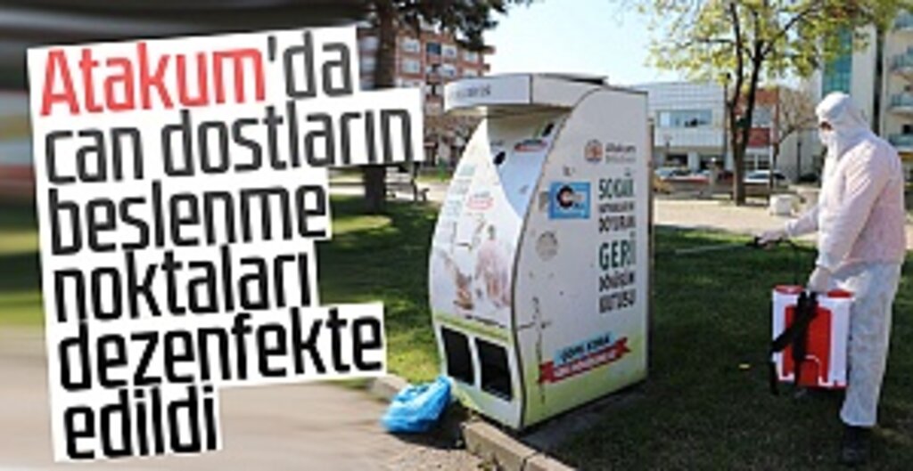 Atakum Belediyesi, Sokak Hayvanları İçin Koronavirüs Sürecinde Beslenme Desteğini Sürdürüyor