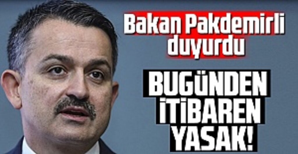 Balıkçılıkta Av Sezonu Sona Erdi: Sürdürülebilirlik İçin Yeni Adımlar Atılıyor