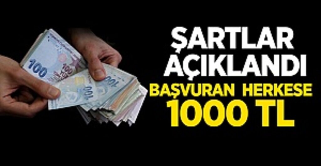 1000 Lira Yardım Başvuruları e-Devlet Üzerinden Alınmaya Başlandı