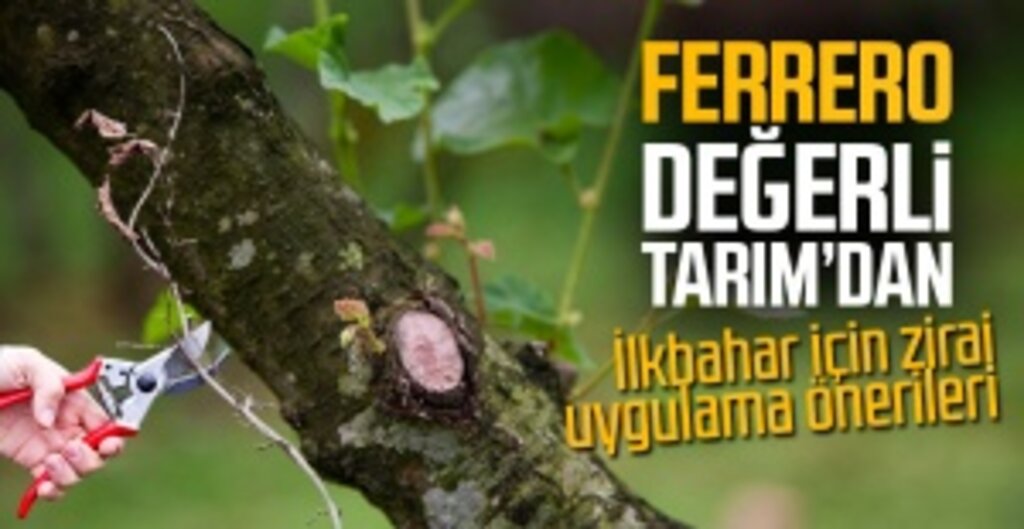 Ferrero Değerli Tarım’dan Fındık Çiftçilerine Bahar Aylarında Yapılması Gereken Zirai Uygulamalar
