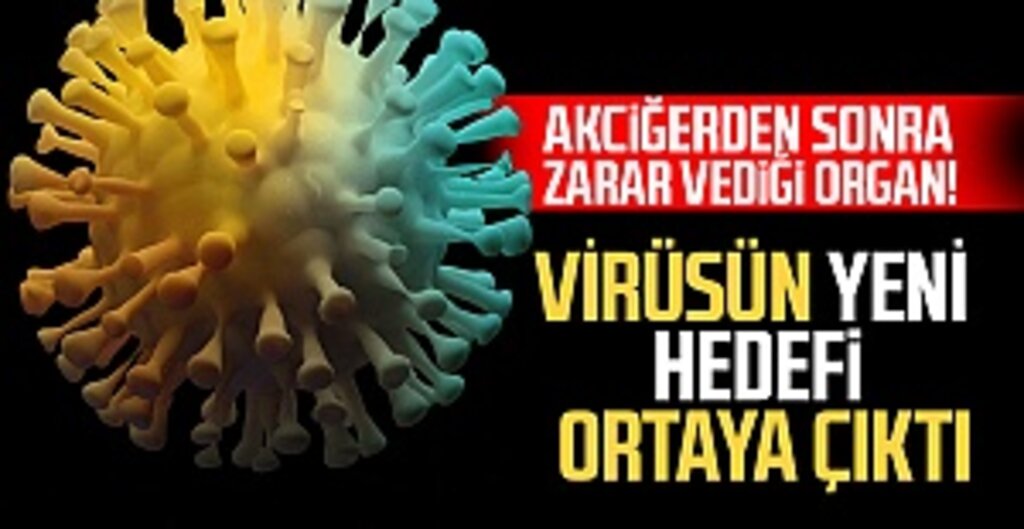 Koronavirüs Akciğerin Ötesinde: Kalp Yetmezliğine Yol Açabilir