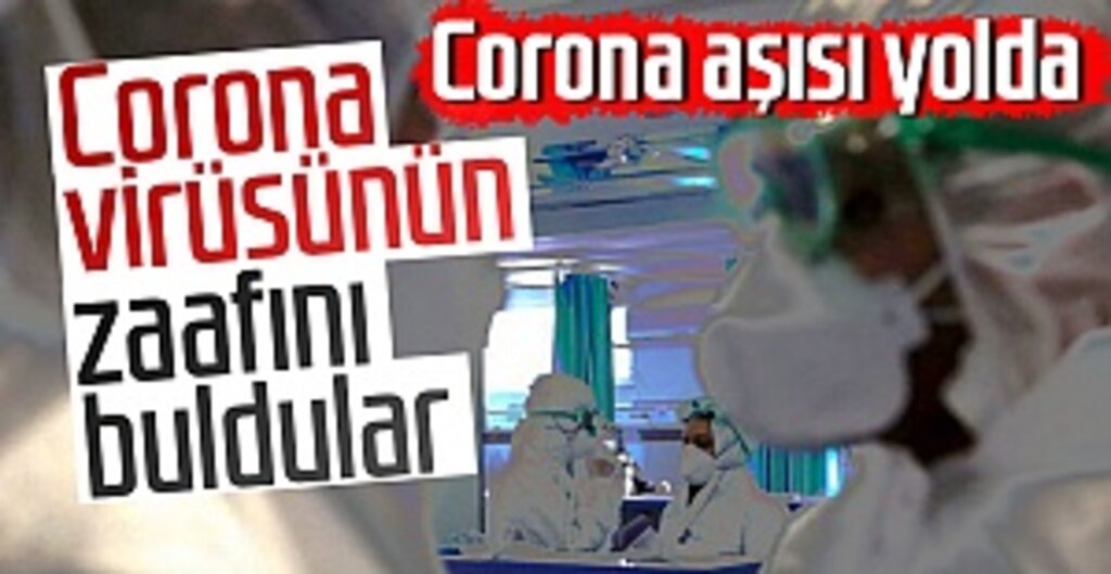 Bilim İnsanları, Corona Virüsünün Zayıf Noktasını Buldu: Aşı ve İlaç Çalışmaları İleriye Dönük Umut Veriyor