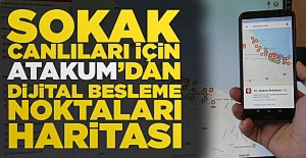 Atakum Belediyesi’nden Sokak Hayvanları İçin Dijital Destek: Can Dostlar Haritası Kullanıma Açıldı