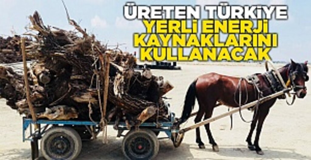 ENSİA Başkanı Vatansever: Biyokütlede Potansiyelimizin Sadece Yüzde 10’unu Kullanıyoruz