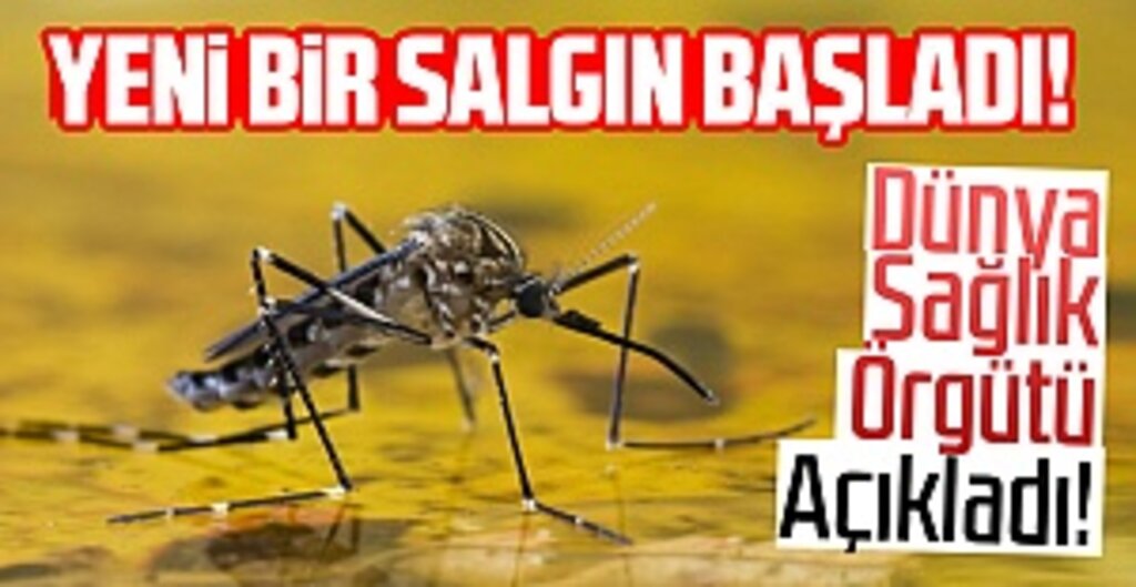 Dünya Sağlık Örgütü, Güney Sudan’da Sarı Humma Salgını Başladığını Açıkladı