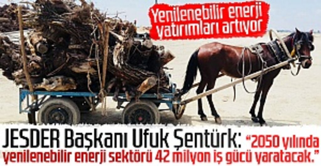 Fosil Enerji Dönemi Sona Eriyor: Yenilenebilir Enerji Yükselişte