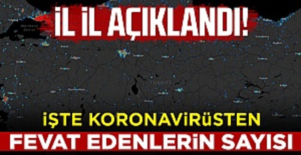 İl İl Koronavirüs Vefat Sayıları İlk Kez Açıklandı! İstanbul Başta, Anadolu’da Sürpriz Düşük Rakamlar