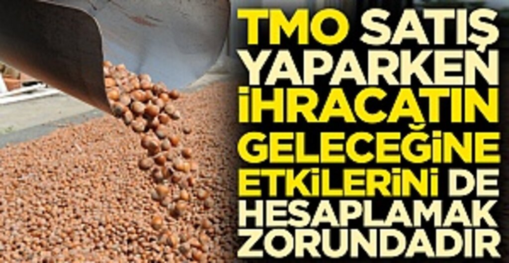 TMO'nun 2019 Fındık Politikası Sektörü Nasıl Etkiledi? Uzmanlardan Sürdürülebilirlik Uyarısı