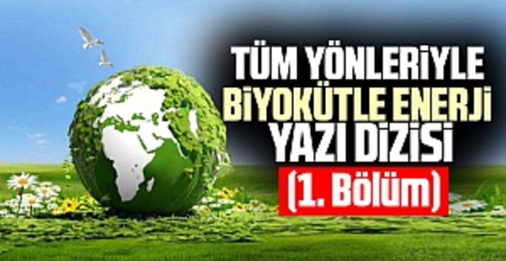 Samsun’un Enerji Yolculuğu: Elektrikten Biyokütleye