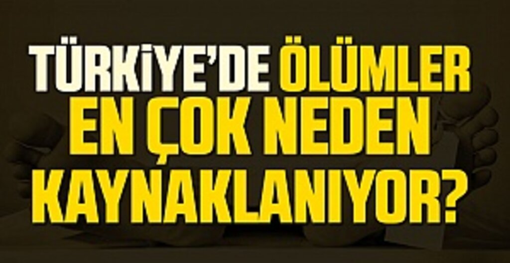 Türkiye’de Ölüm Sayısı Arttı: Dolaşım Sistemi Hastalıkları İlk Sırada Yer Aldı