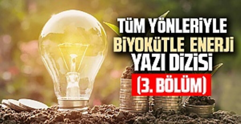 Dünya Biyokütleyi Tercih Ediyor, Türkiye’de Tarımsal Atıklar Enerjiye Dönüşüyor!
