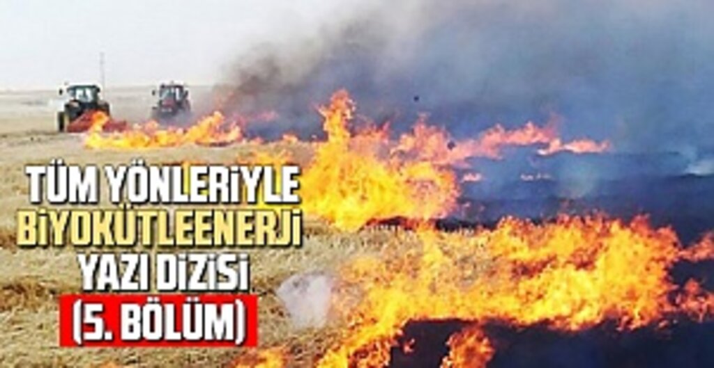 Biyokütle Enerjisi: Sürdürülebilir Tarımın ve Temiz Geleceğin Anahtarı