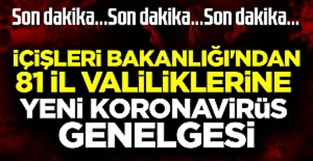 İçişleri Bakanlığı'ndan 81 il valiliklerine yeni koronavirüs genelgesi