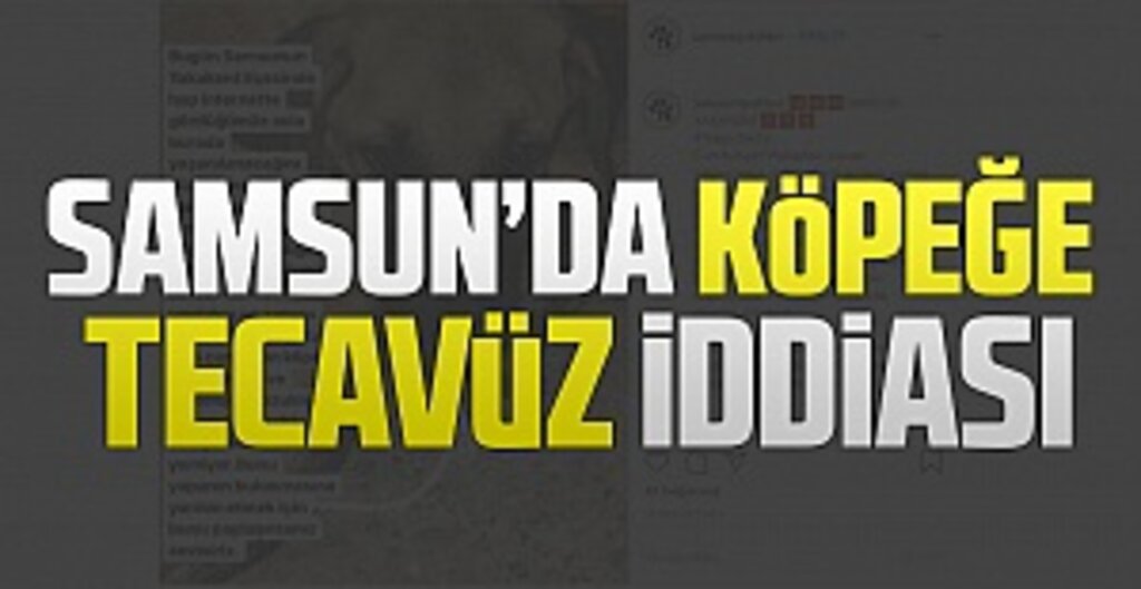 Yakakent'te Köpeğe Tecavüz İddiası