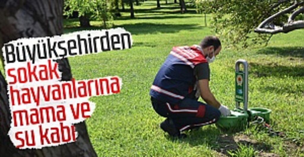 Büyükşehirden sokak hayvanlarına mama ve su kabı