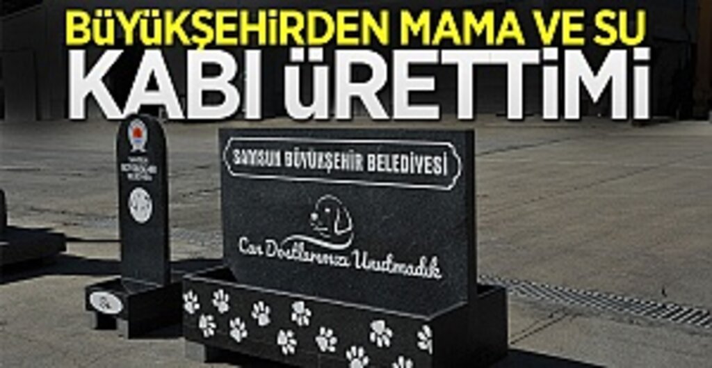 Samsun'da Can Dostlar İçin Estetik ve Doğal Çözüm: Taş Kaplar