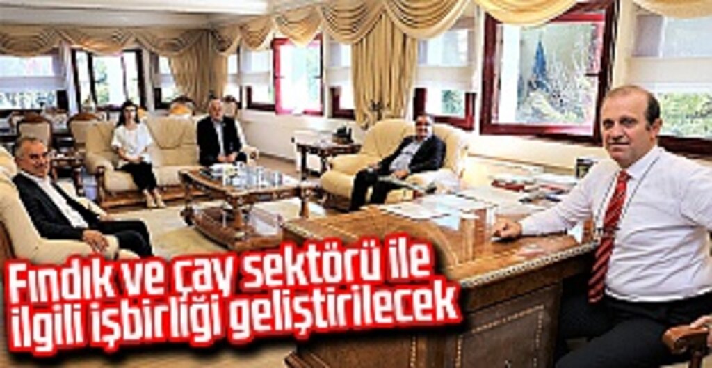 Fındık ve çay sektörü ile ilgili işbirliği geliştirilecek
