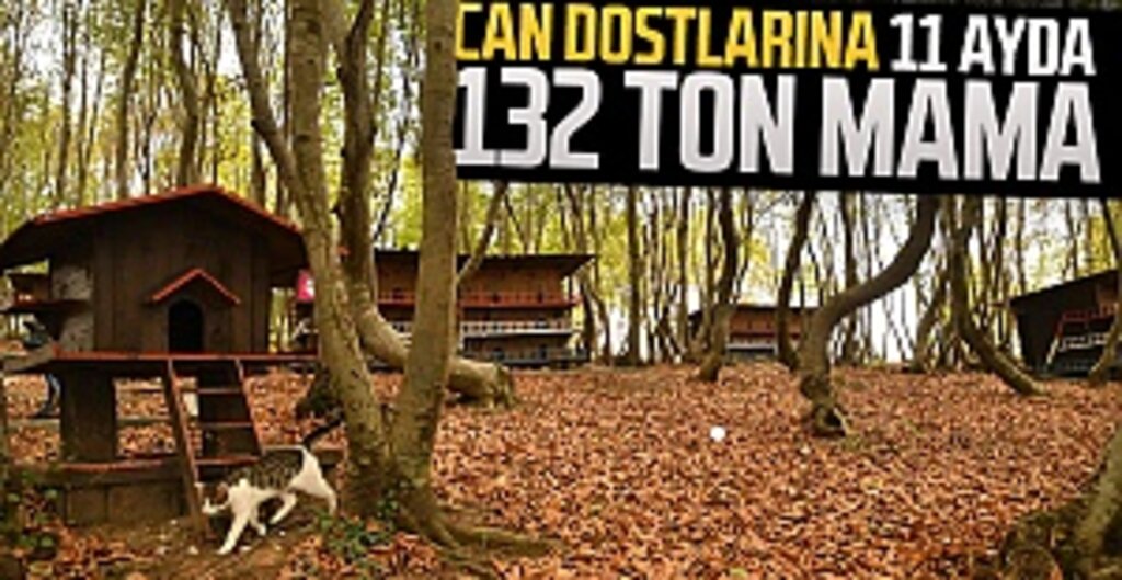 Can dostlarına 11 ayda 132 ton mama