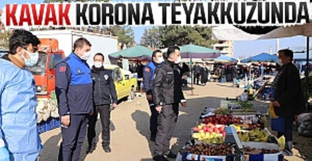Kavak Korona Teyakkuzunda
