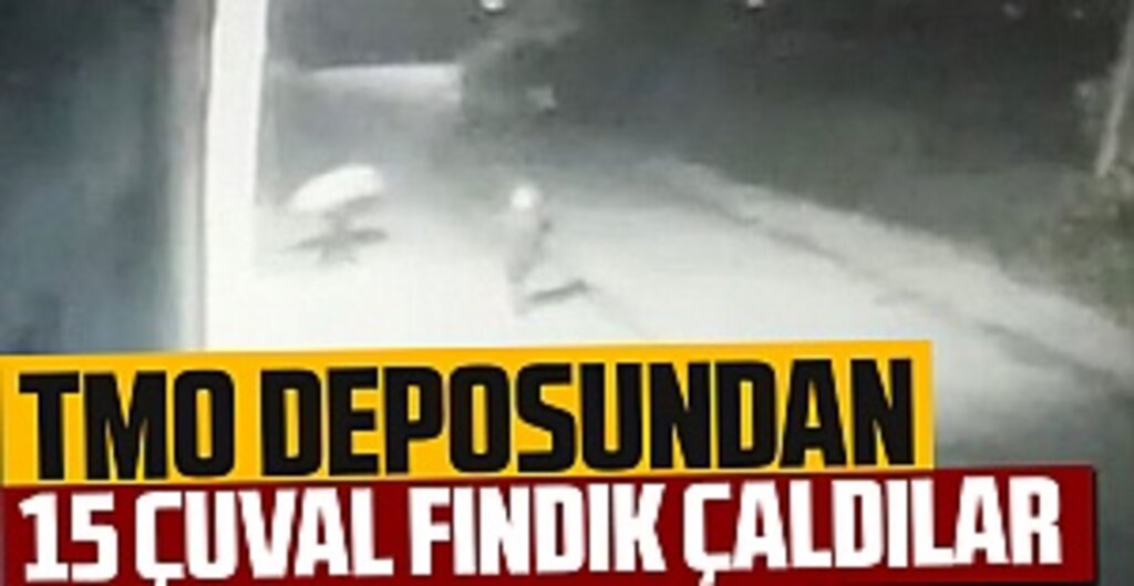 TMO deposundan 15 çuval fındık çaldılar