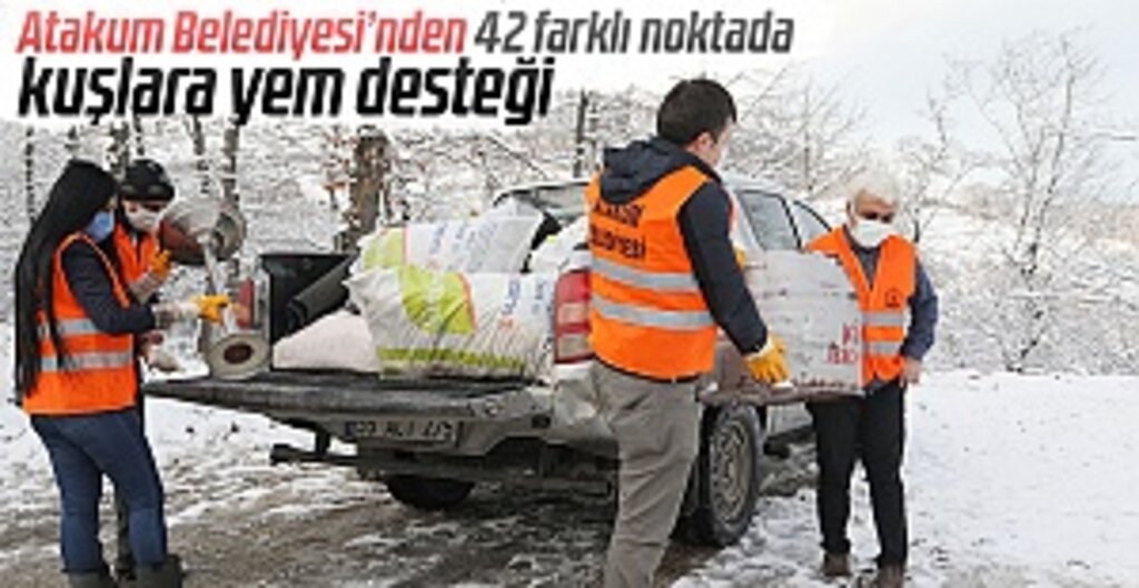 Atakum Belediyesi’nden Kuşlara Kış Mesaisi: 42 Noktada Besleme Noktası Kuruldu