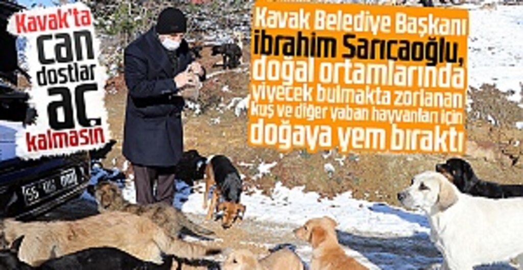 Başkan Sarıcaoğlu’ndan Yaban Hayvanlarına Kış Desteği: Onları Unutmamalıyız