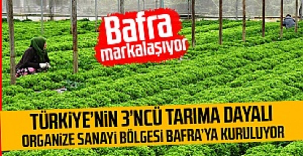 Bafra’ya Dev Tarım Yatırımı: Türkiye’nin 3. Sera OSB’si Kuruluyor