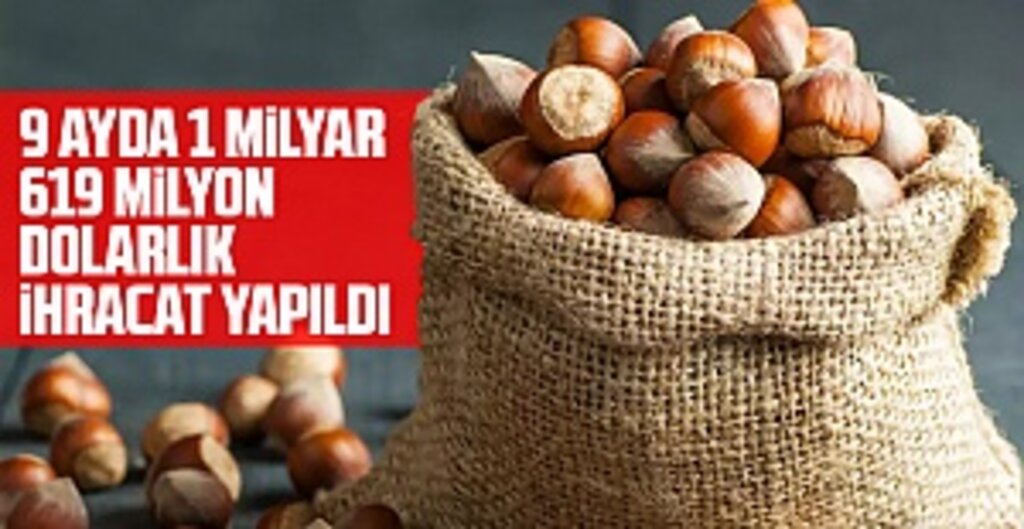 2020-2021 Fındık Sezonunda Türkiye'nin İhracatında Miktar ve Döviz Gelirinde Düşüş