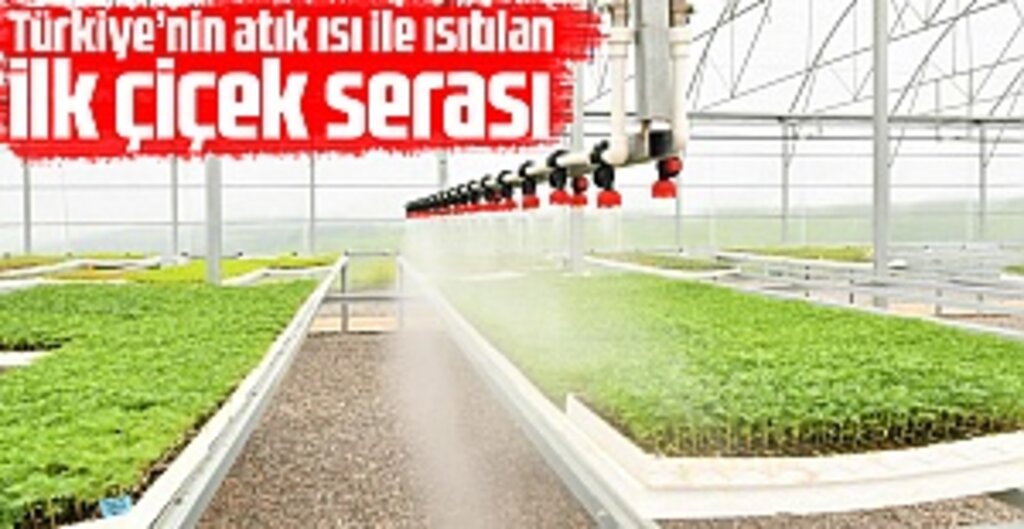 Samsun'da Çöpten Çiçeğe Dönüşüm: Türkiye'nin En Çevreci Serası Hayata Geçti