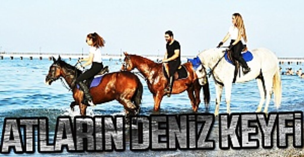 Samsun'da Atlar Kumsalda Antrenman Yaptı, Denize Girdi! Seyrine Doyum Olmadı
