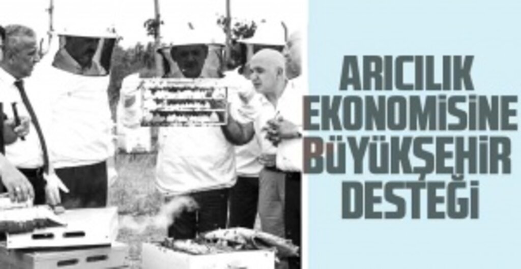 Samsun’da Arıcılıkta Yeni Dönem: 332 Arıcıya 1000 Ana Arı Desteği