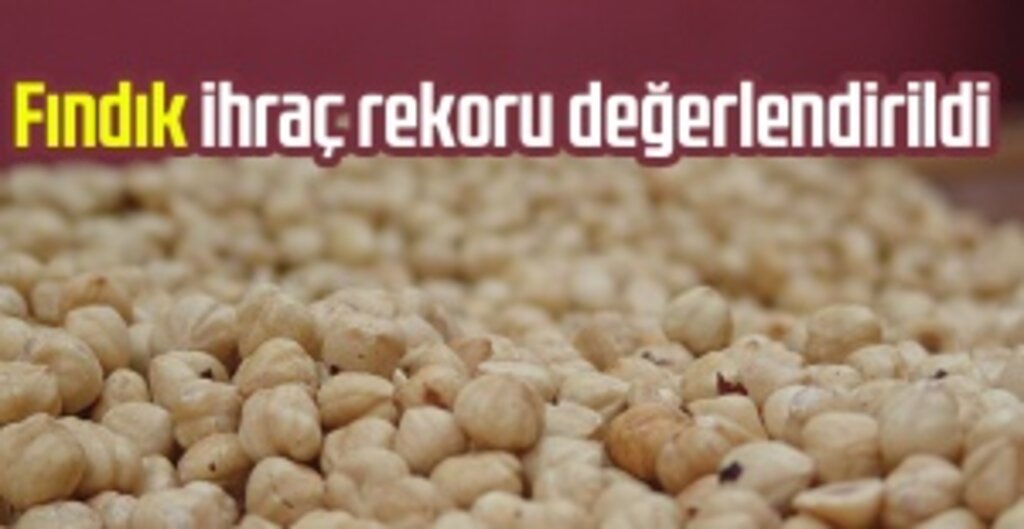 Türk Fındığında Tarihi Rekor: 2021 Yılı İhracatı Cumhuriyet Tarihine Geçti