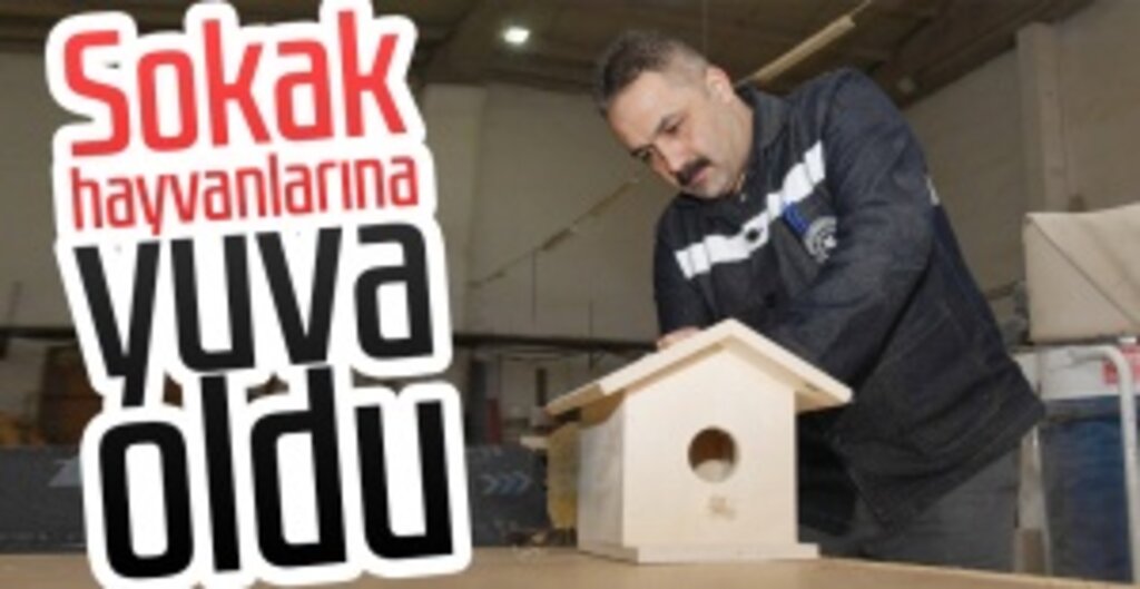 Samsun Büyükşehir Belediyesi’nden Sokak Hayvanlarına Atık Ahşaplardan Yuvalar