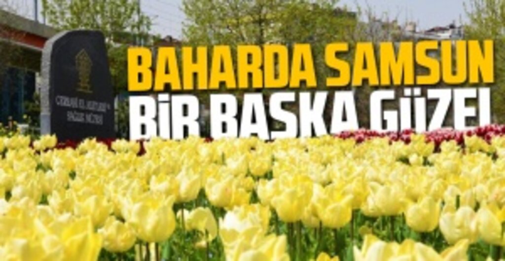 Samsun, 830 Bin Çiçekle Bahara Merhaba Dedi