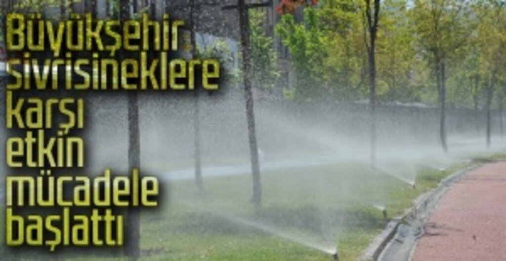 Samsun'da Sivrisinekle Mücadelede Bir İlk: Otomatik İlaçlama Sistemi Devrede