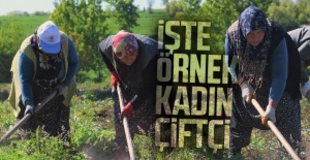 Samsun’da Toprağa Umut Eken Kadın: Gülşen Hekimoğlu’nun Girişimcilik Hikâyesi
